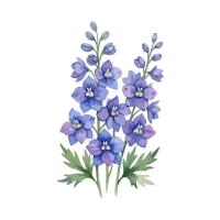 Delphinium