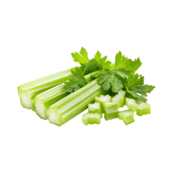 Desert Celery | Desert Vegetables Names in English