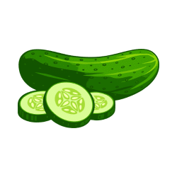 Desert Cucumber