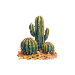 Desert Purslane