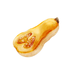 Desert Squash