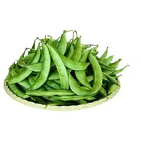 Dolichos Beans