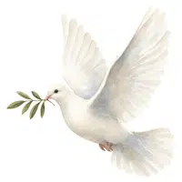 Dove
