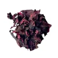 Dulse
