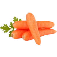 Dutch Carrot