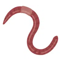Earthworm
