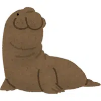 Elephant Seal