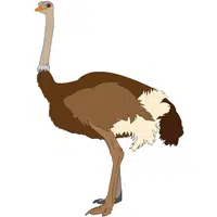 Emu