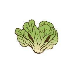 Escarole