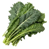 Ethiopian Kale