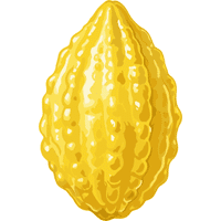 Etrog