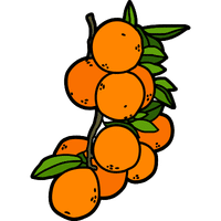 Fairchild Tangerine