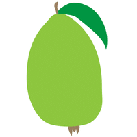 Feijoa