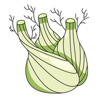 Fennel