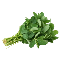 Fenugreek Leaves