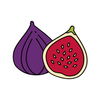 Fig