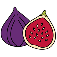 Fig