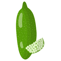 Finger Lime