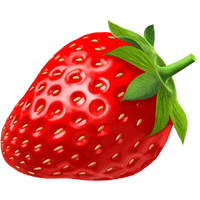 Forest Strawberry