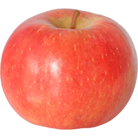 Fuji Apple