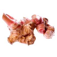 Galangal