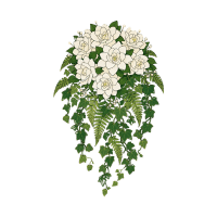 Gardenia