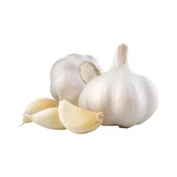 Garlic | Temperate Vegetables Names in English