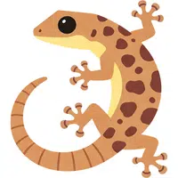 Gecko