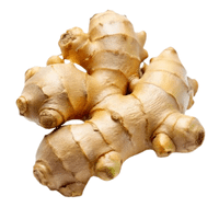 Ginger