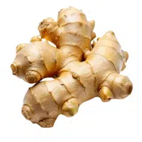 Ginger