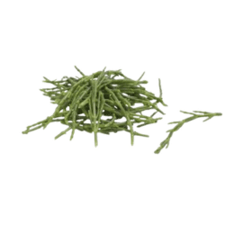 Glasswort | Desert Vegetables Names in English
