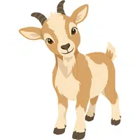 Goat