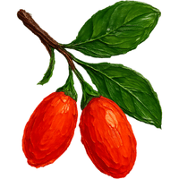 Goji Berry