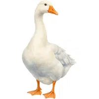 Goose
