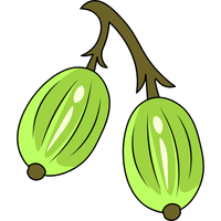 Gooseberry