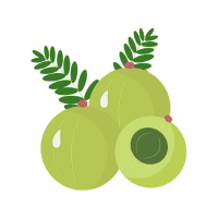 Gooseberry