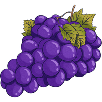 Grape