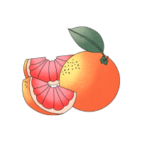 Grapefruit | Sugar Free Fruits Names