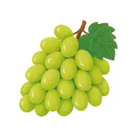 Grapes