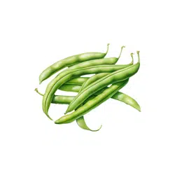 Green Bean