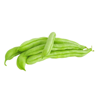 Green Beans
