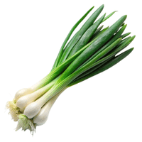 Green Onion
