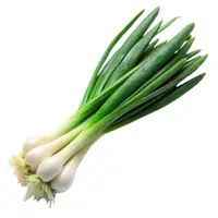 Green Onion