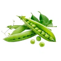 Green Peas