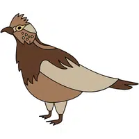 Grouse