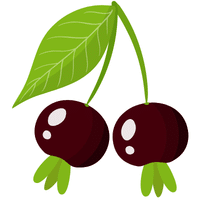 Grumichama