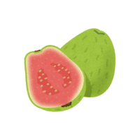 Guava