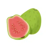 Guava