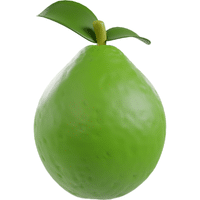 Guava