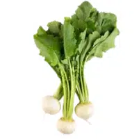 Hakurei Turnip